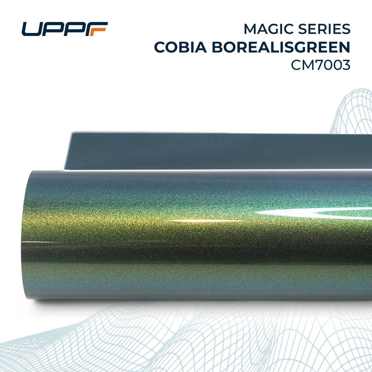 Cobia BorealistGreen