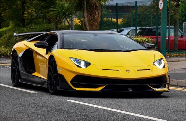 Sunflower Yellow PPF