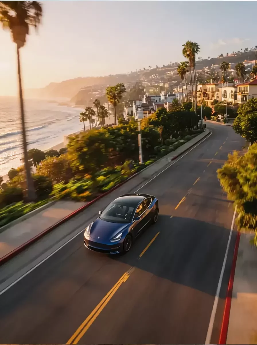 Hammerhead clear PPF